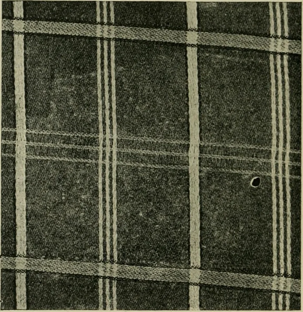 An illustration from Textile design and colour; elementary weaves and figured fabrics, 1921, leaf 123