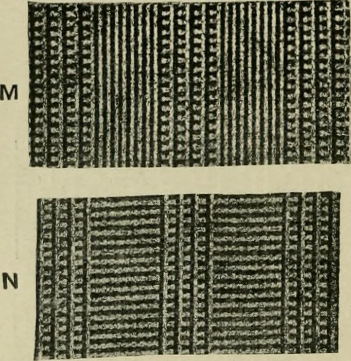 An illustration from Textile design and colour; elementary weaves and figured fabrics, 1921, leaf 183