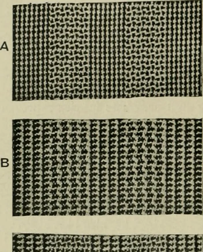 An illustration from Textile design and colour; elementary weaves and figured fabrics, 1921, leaf 185