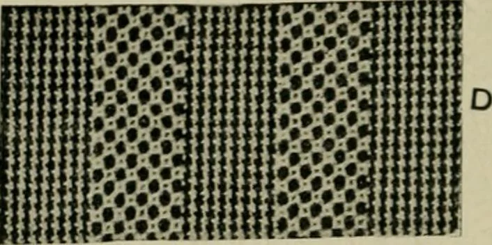 An illustration from Textile design and colour; elementary weaves and figured fabrics, 1921, leaf 185