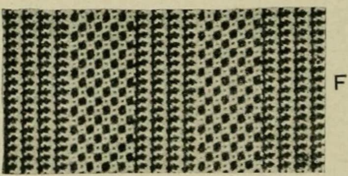 An illustration from Textile design and colour; elementary weaves and figured fabrics, 1921, leaf 185