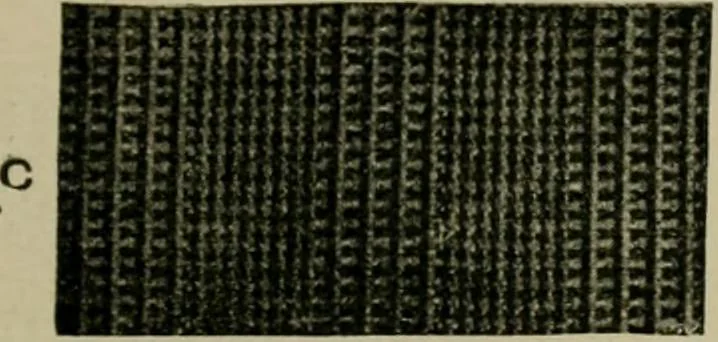 An illustration from Textile design and colour; elementary weaves and figured fabrics, 1921, leaf 188