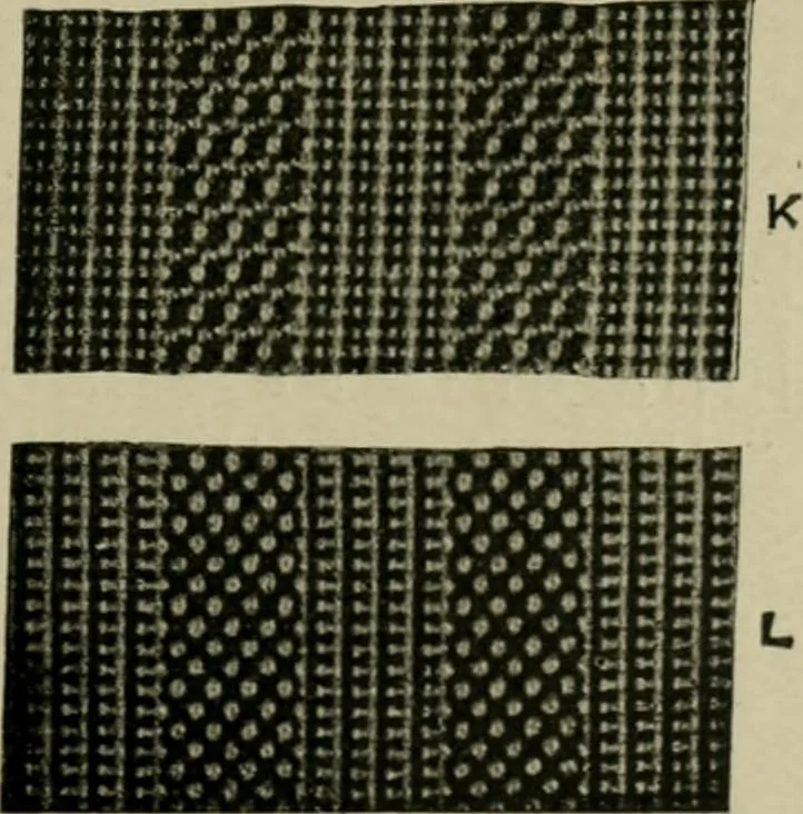 An illustration from Textile design and colour; elementary weaves and figured fabrics, 1921, leaf 188