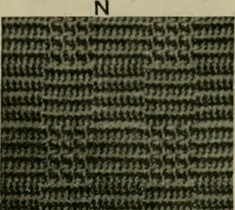 An illustration from Textile design and colour; elementary weaves and figured fabrics, 1921, leaf 202
