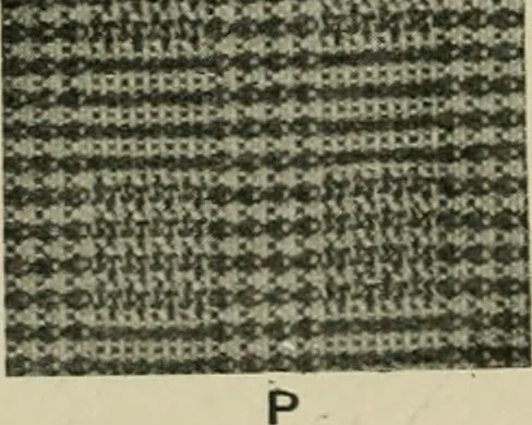 An illustration from Textile design and colour; elementary weaves and figured fabrics, 1921, leaf 205