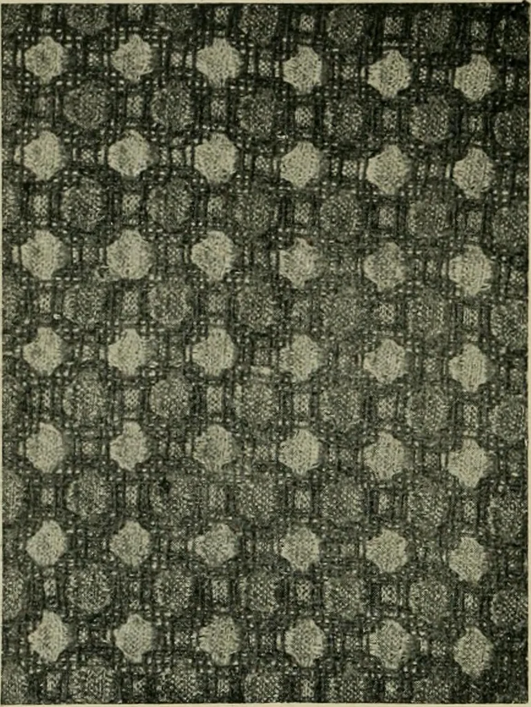 An illustration from Textile design and colour; elementary weaves and figured fabrics, 1921, leaf 219