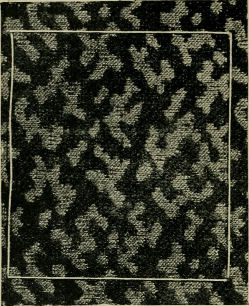 An illustration from Textile design and colour; elementary weaves and figured fabrics, 1921, leaf 295