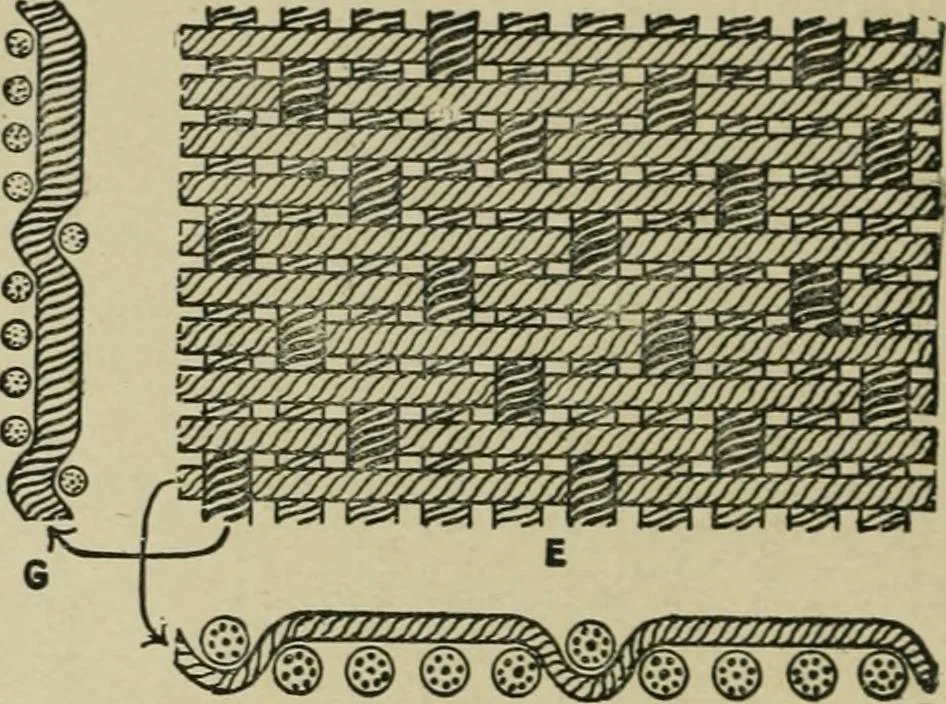 An illustration from Textile design and colour; elementary weaves and figured fabrics, 1921, leaf 31