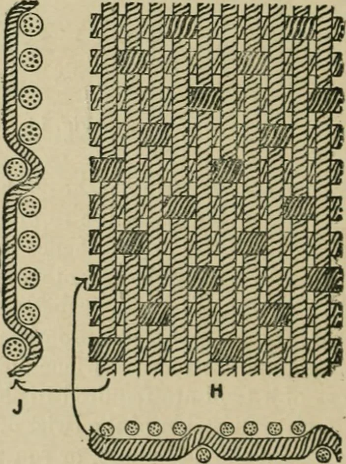 An illustration from Textile design and colour; elementary weaves and figured fabrics, 1921, leaf 31