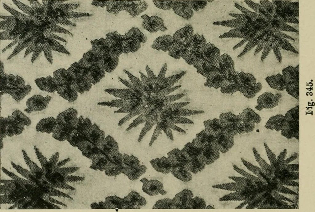 An illustration from Textile design and colour; elementary weaves and figured fabrics, 1921, leaf 311