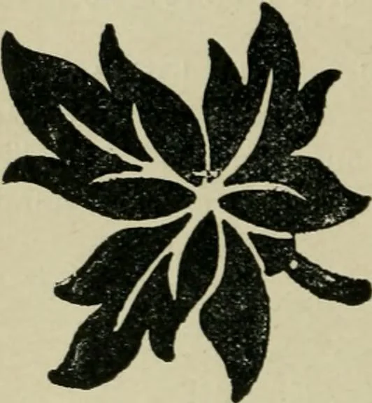 An illustration from Textile design and colour; elementary weaves and figured fabrics, 1921, leaf 313