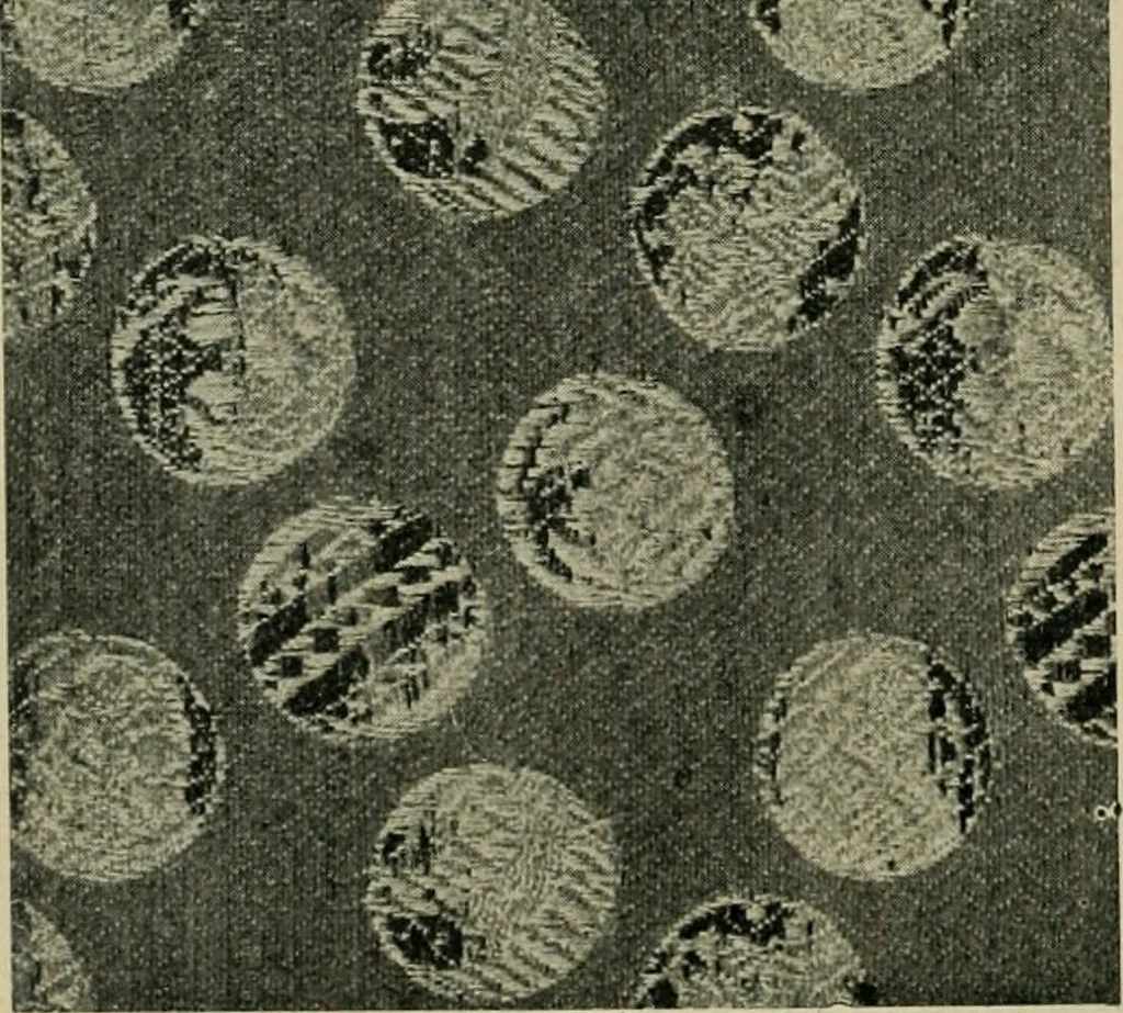An illustration from Textile design and colour; elementary weaves and figured fabrics, 1921, leaf 329