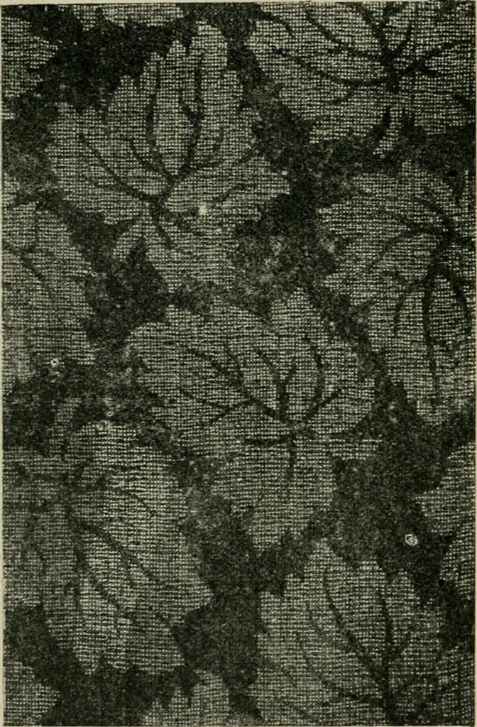 An illustration from Textile design and colour; elementary weaves and figured fabrics, 1921, leaf 331