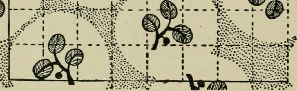 An illustration from Textile design and colour; elementary weaves and figured fabrics, 1921, leaf 345