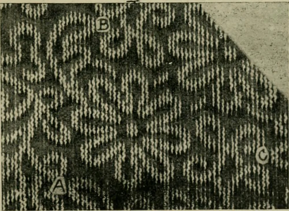 An illustration from Textile design and colour; elementary weaves and figured fabrics, 1921, leaf 350