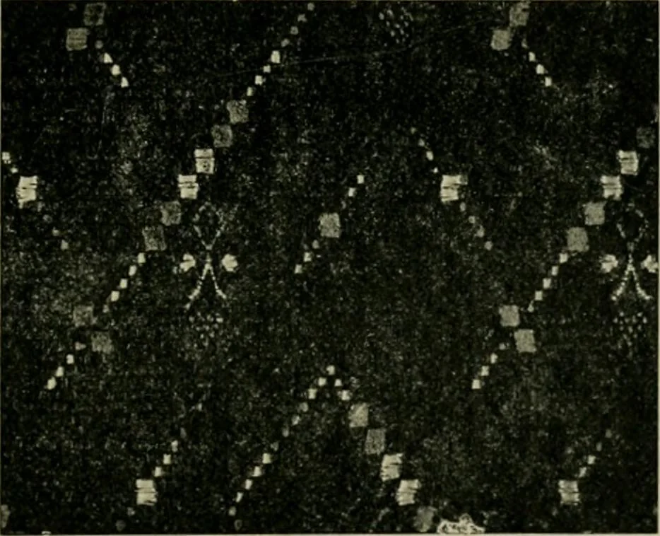 An illustration from Textile design and colour; elementary weaves and figured fabrics, 1921, leaf 356