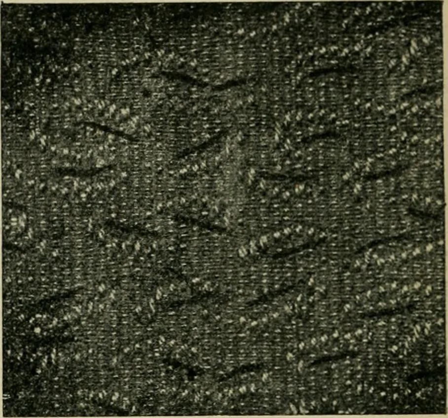 An illustration from Textile design and colour; elementary weaves and figured fabrics, 1921, leaf 357