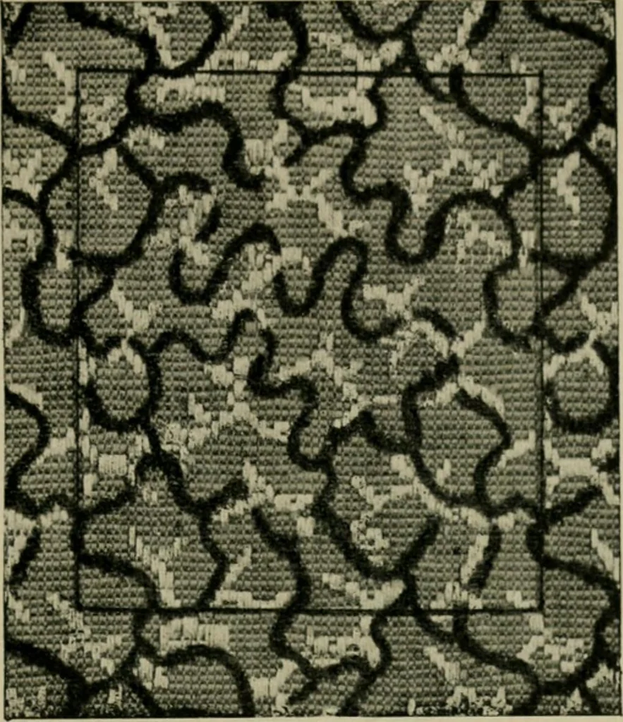 An illustration from Textile design and colour; elementary weaves and figured fabrics, 1921, leaf 360