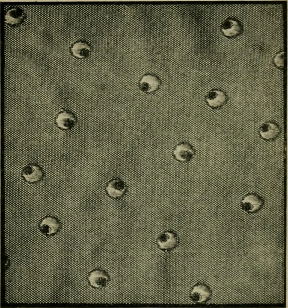 An illustration from Textile design and colour; elementary weaves and figured fabrics, 1921, leaf 86