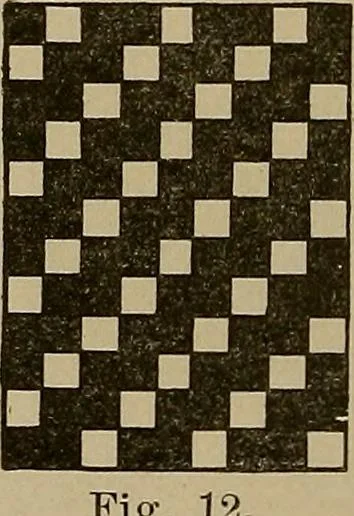 An illustration from Textile design; a working manual of approved practice in all details of the art of designing the various kinds of textile fabrics, together with practical applications of the principles of textile coloring and systematic methods of cost finding, 1909, leaf 17
