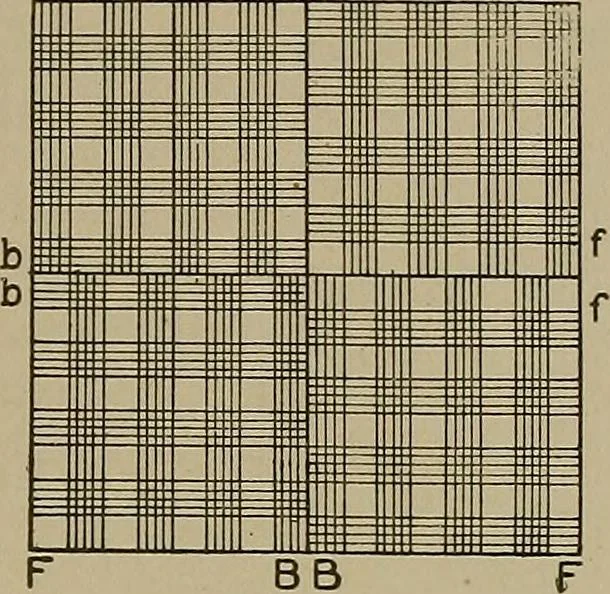 An illustration from Textile design; a working manual of approved practice in all details of the art of designing the various kinds of textile fabrics, together with practical applications of the principles of textile coloring and systematic methods of cost finding, 1909, leaf 196
