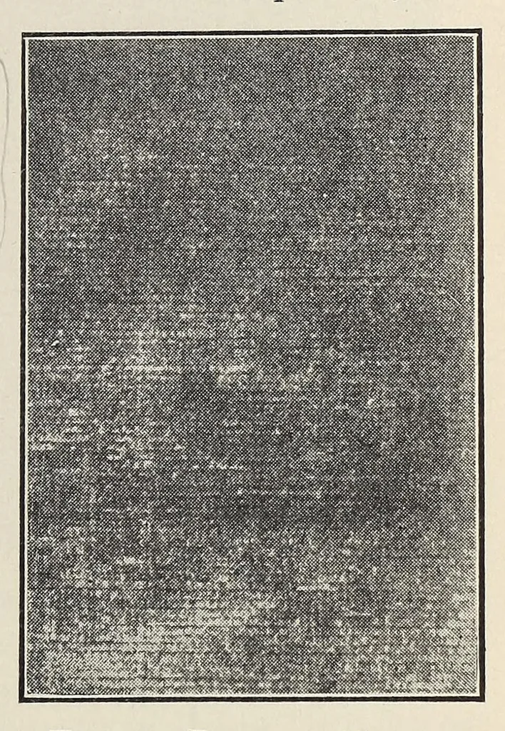An illustration from Textile fabrics, 1927, leaf 225