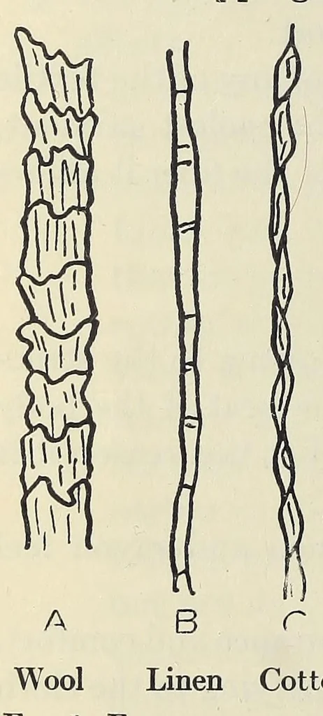 An illustration from Textile fabrics, 1927, leaf 42