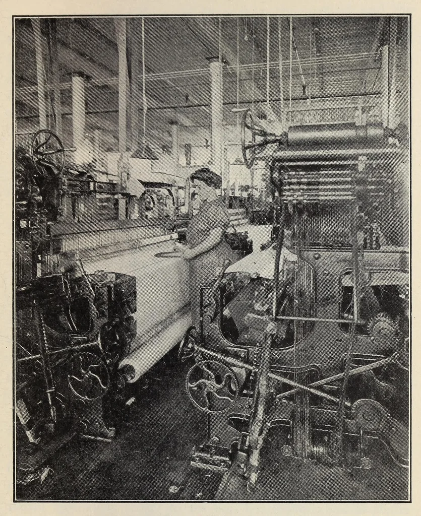 An illustration from Textile fabrics, 1927, leaf 67
