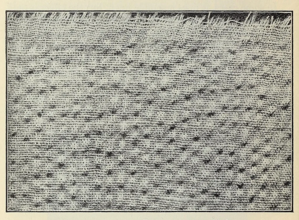 An illustration from Textile fabrics, 1927, leaf 86