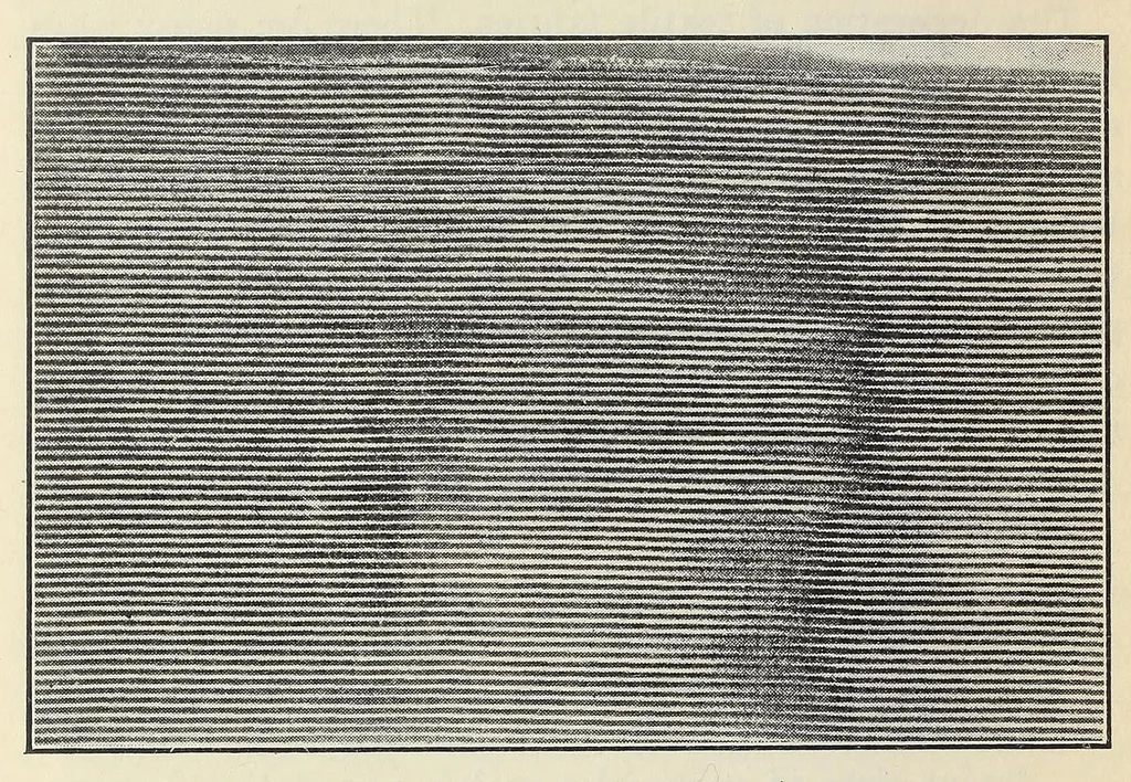 An illustration from Textile fabrics, 1927, leaf 92