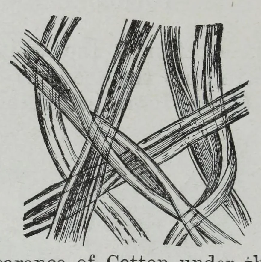 An illustration from Textile fabrics and their preparation for dyeing : with numerous engravings and diagrams, 1906, leaf 14