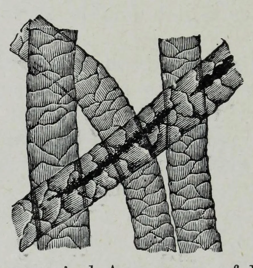 An illustration from Textile fabrics and their preparation for dyeing : with numerous engravings and diagrams, 1906, leaf 34