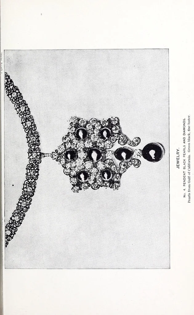 An illustration from Textile fabrics, wearing apparel, and accessories : Universal Exposition at Paris, 1889 : report on group IV, 1893, leaf 71