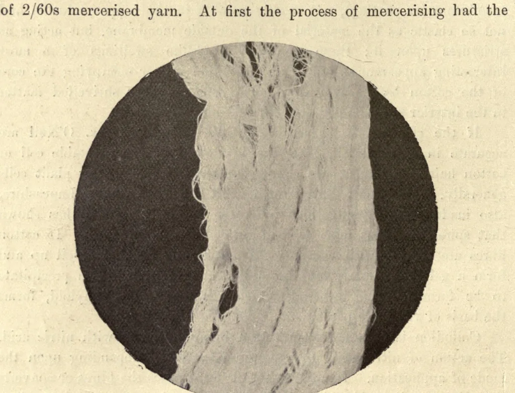 An illustration from The textile fibres of commerce. A handbook on the occurrence, distribution, preparation, and uses of the animal, vegetable, and mineral fibres used in cotton, woollen, paper, silk, brush, and hat manufactures, 1902, leaf 110