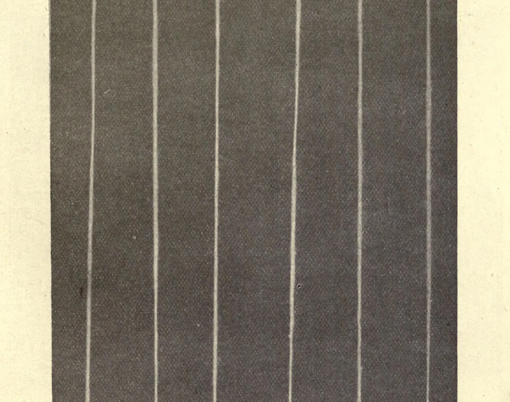 An illustration from The textile fibres of commerce. A handbook on the occurrence, distribution, preparation, and uses of the animal, vegetable, and mineral fibres used in cotton, woollen, paper, silk, brush, and hat manufactures, 1902, leaf 139