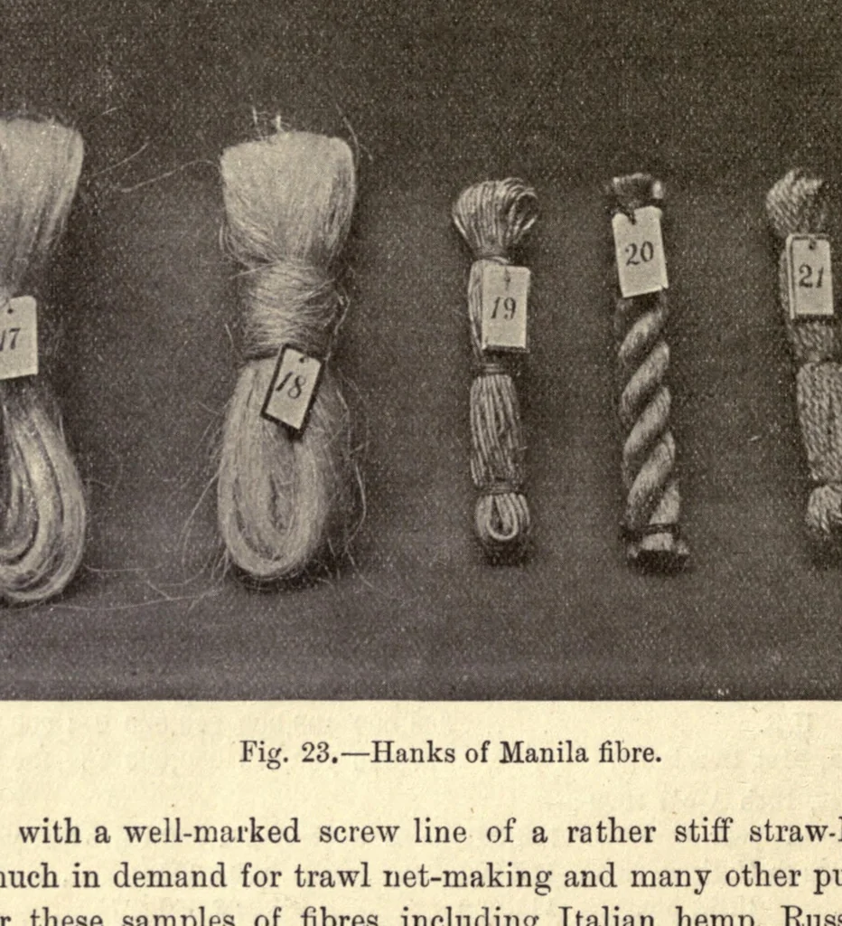 An illustration from The textile fibres of commerce. A handbook on the occurrence, distribution, preparation, and uses of the animal, vegetable, and mineral fibres used in cotton, woollen, paper, silk, brush, and hat manufactures, 1902, leaf 56