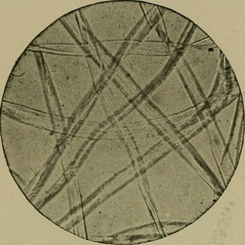 An illustration from The textile fibres; their physical, microscopical, and chemical properties, 1904, leaf 146