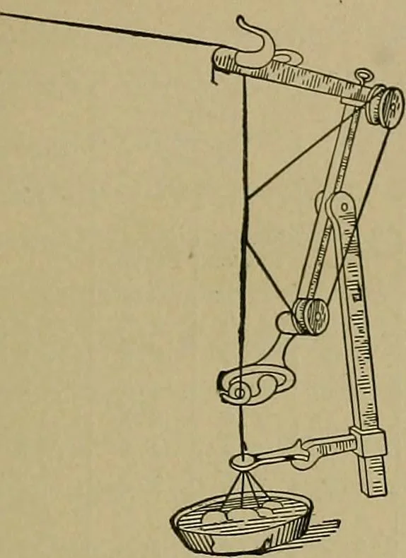 An illustration from The textile fibres; their physical, microscopical, and chemical properties, 1904, leaf 94