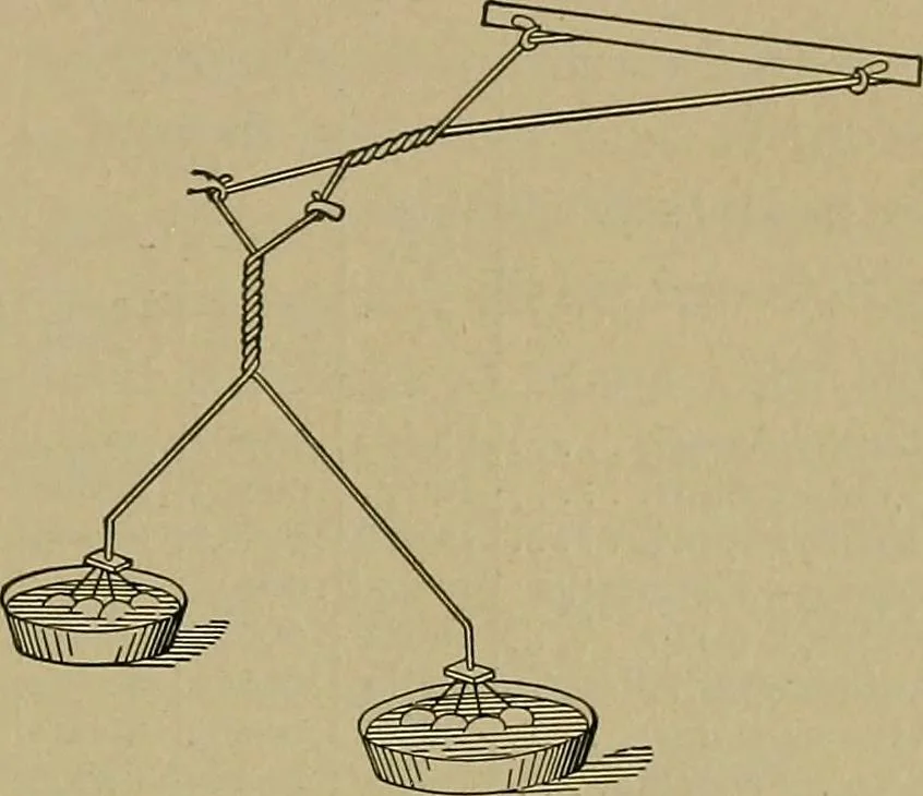 An illustration from The textile fibres; their physical, microscopical, and chemical properties, 1904, leaf 94