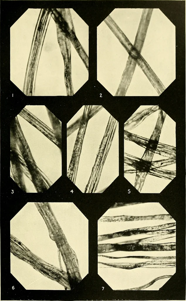 An illustration from The textile industries : a practical guide to fibres, yarns & fabrics in every branch of textile manufacture, including preparation of fibres, spinning, doubling, designing, weaving, bleaching, printing, dyeing and finishing, 1910, leaf 100