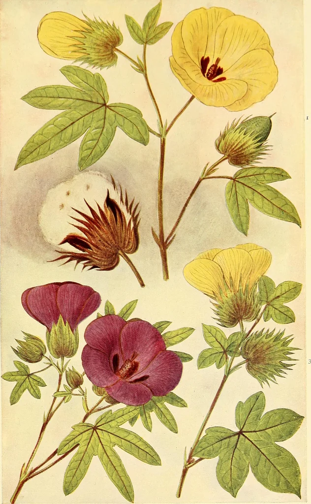An illustration from The textile industries : a practical guide to fibres, yarns & fabrics in every branch of textile manufacture, including preparation of fibres, spinning, doubling, designing, weaving, bleaching, printing, dyeing and finishing, 1910, leaf 110