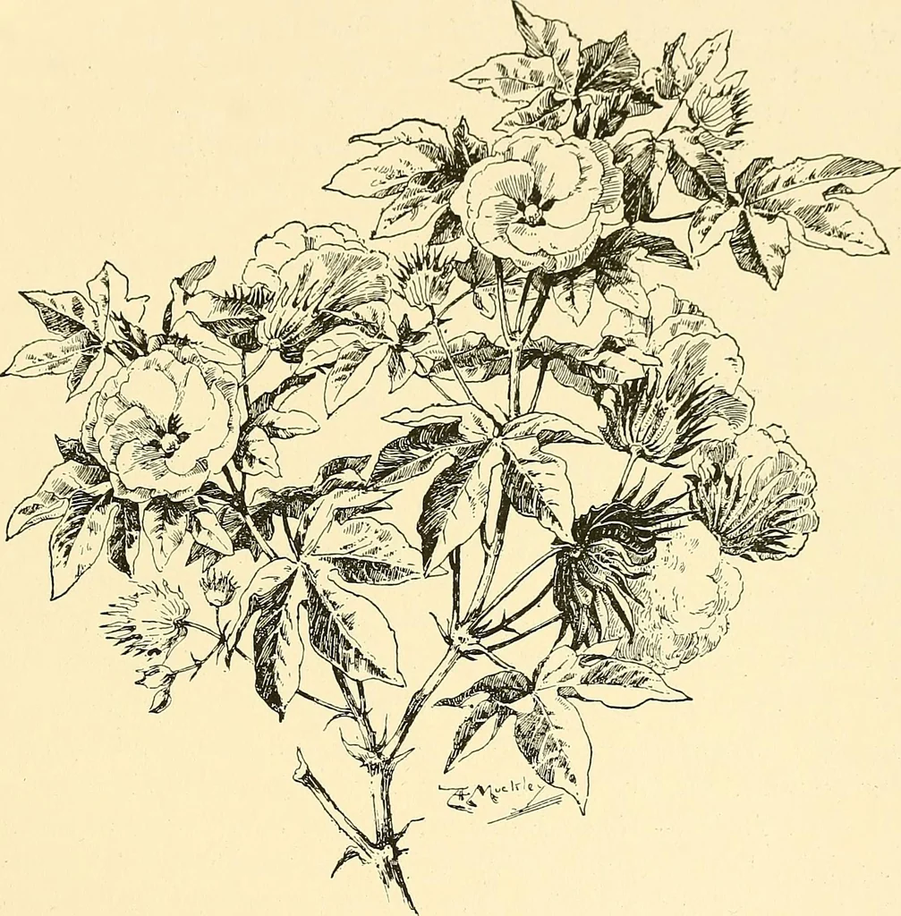 An illustration from The textile industries : a practical guide to fibres, yarns & fabrics in every branch of textile manufacture, including preparation of fibres, spinning, doubling, designing, weaving, bleaching, printing, dyeing and finishing, 1910, leaf 114