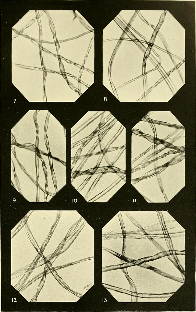 An illustration from The textile industries : a practical guide to fibres, yarns & fabrics in every branch of textile manufacture, including preparation of fibres, spinning, doubling, designing, weaving, bleaching, printing, dyeing and finishing, 1910, leaf 124