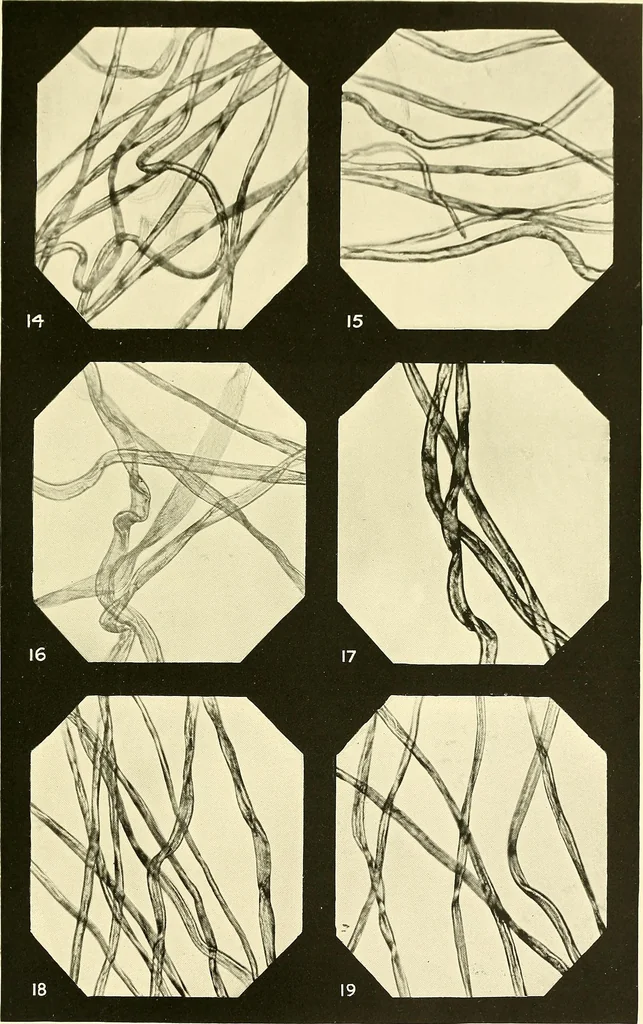 An illustration from The textile industries : a practical guide to fibres, yarns & fabrics in every branch of textile manufacture, including preparation of fibres, spinning, doubling, designing, weaving, bleaching, printing, dyeing and finishing, 1910, leaf 136