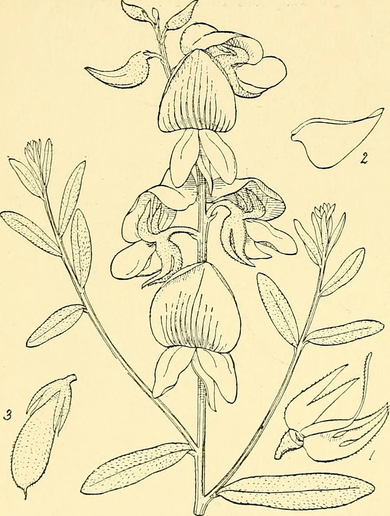 An illustration from The textile industries : a practical guide to fibres, yarns & fabrics in every branch of textile manufacture, including preparation of fibres, spinning, doubling, designing, weaving, bleaching, printing, dyeing and finishing, 1910, leaf 161