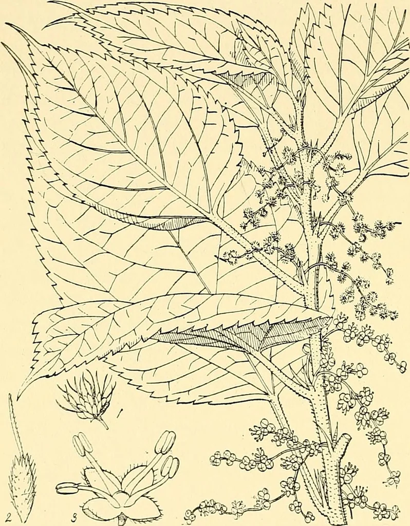 An illustration from The textile industries : a practical guide to fibres, yarns & fabrics in every branch of textile manufacture, including preparation of fibres, spinning, doubling, designing, weaving, bleaching, printing, dyeing and finishing, 1910, leaf 165