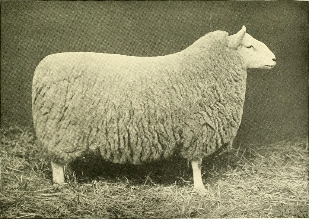 An illustration from The textile industries : a practical guide to fibres, yarns & fabrics in every branch of textile manufacture, including preparation of fibres, spinning, doubling, designing, weaving, bleaching, printing, dyeing and finishing, 1910, leaf 180