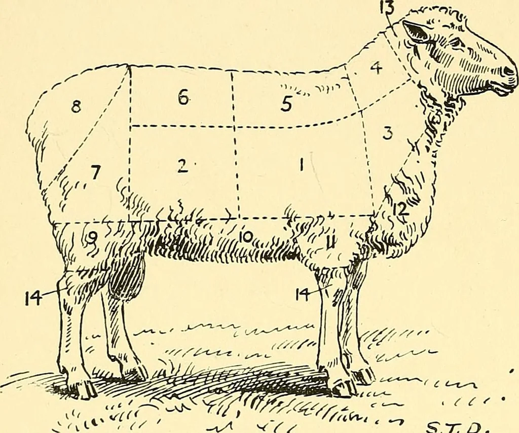 An illustration from The textile industries : a practical guide to fibres, yarns & fabrics in every branch of textile manufacture, including preparation of fibres, spinning, doubling, designing, weaving, bleaching, printing, dyeing and finishing, 1910, leaf 183