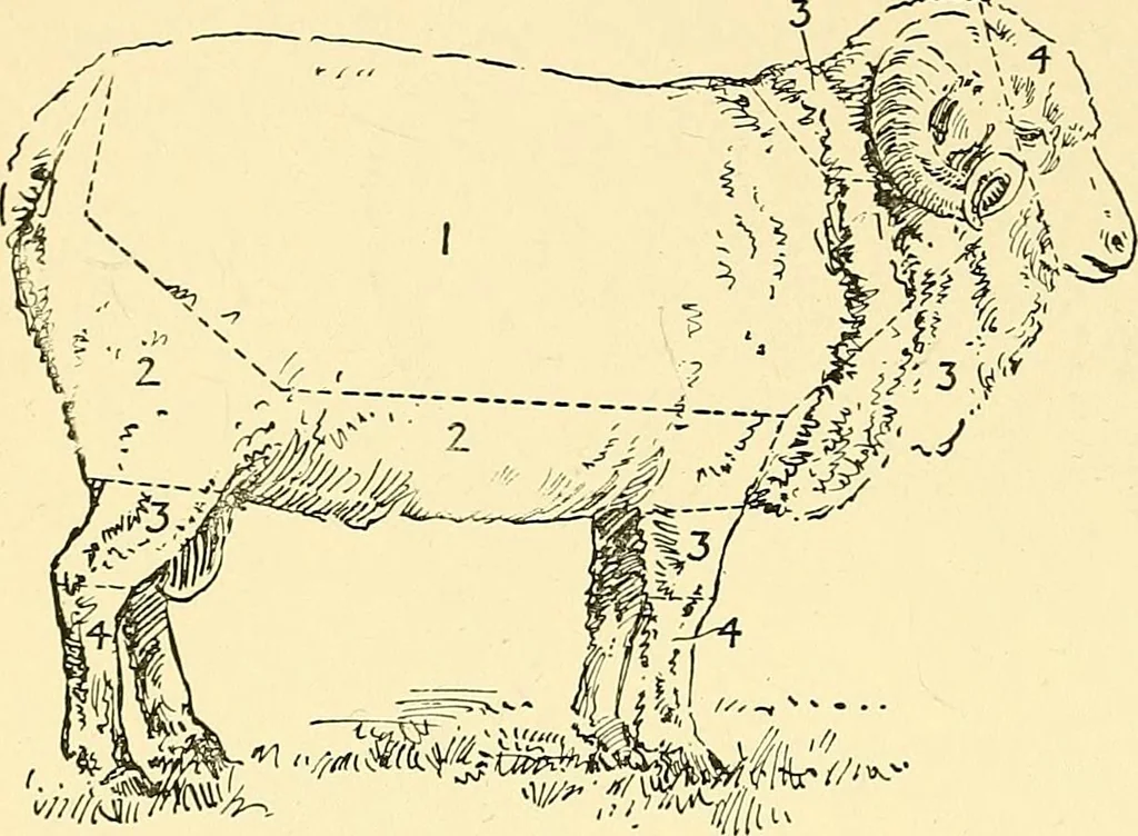 An illustration from The textile industries : a practical guide to fibres, yarns & fabrics in every branch of textile manufacture, including preparation of fibres, spinning, doubling, designing, weaving, bleaching, printing, dyeing and finishing, 1910, leaf 185