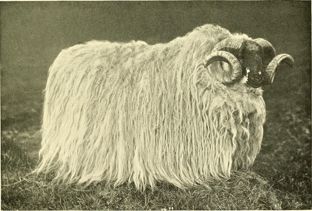 An illustration from The textile industries : a practical guide to fibres, yarns & fabrics in every branch of textile manufacture, including preparation of fibres, spinning, doubling, designing, weaving, bleaching, printing, dyeing and finishing, 1910, leaf 186